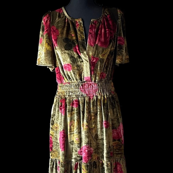 The Somerset Collection by Anthropoligie Dresses & Skirts - Anthropologie The Somerset Maxi Dress: Velvet Edition-Green Motif